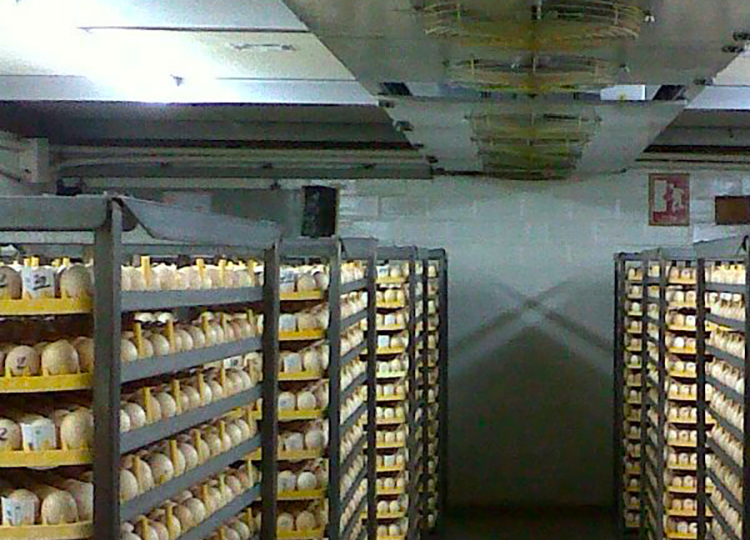 Planta de incubación